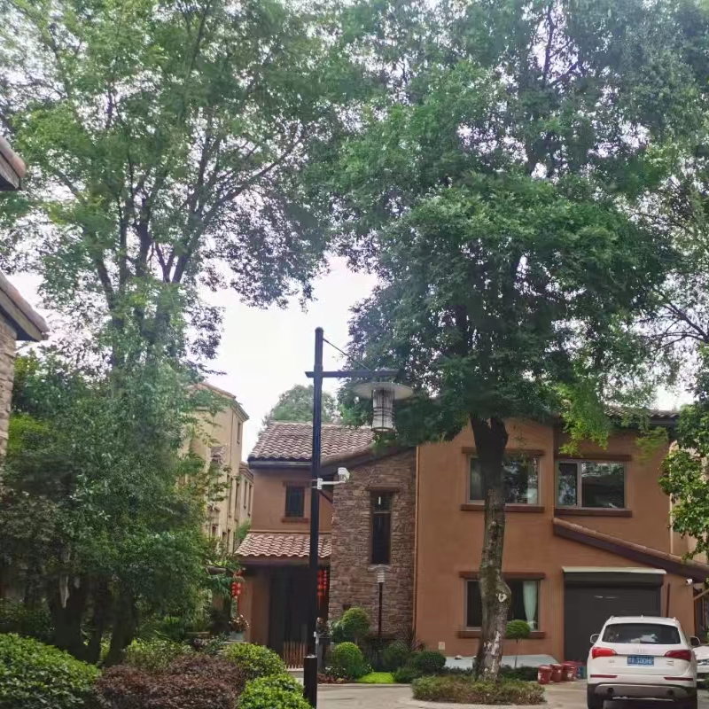 ´�����B��  ������׃�l�ƽѺ�غ����{ 2�_